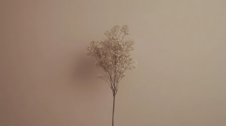 A single stem of dried baby's breath against a muted beige backdrop in a minimalist styleの素材