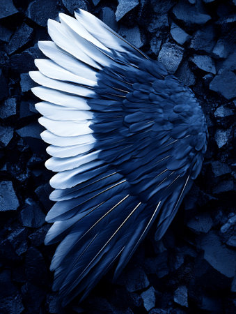 Single Dark Blue Bird Wing on Rocks Detailed Texture art navy high image stone macro photo styleの素材