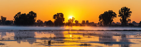 Golden Sunrise over Misty Wetlands Scenic Nature Landscape Photography fog sky dawn calm wild viewの素材