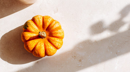 A single, small, vibrant orange pumpkin sits on a light-colored, textured surface, casting a distinct shadow. Sunlight streams in from the side, creating a warm, inviting atmosphere.の素材