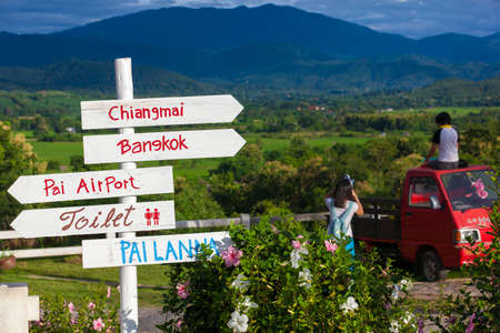 Pointer on the road near Chiangmai, northern Thailandの写真素材