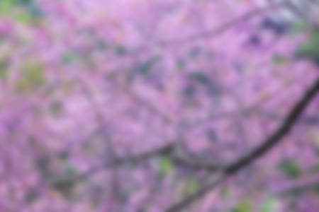 Abstract blurry background for website, printing and anotherの写真素材