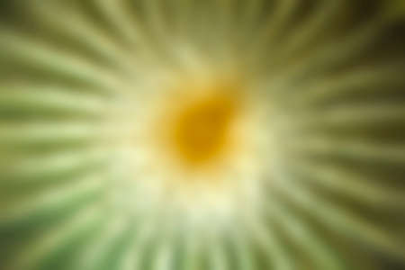 Abstract blurry background for website, printing and anotherの写真素材