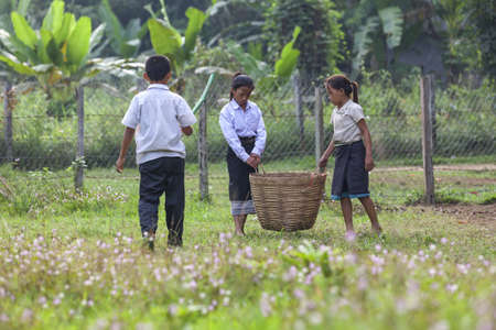 VANG VIENG, LAOS - 7 December 2012: Childrens picking garbage in the school.のeditorial素材