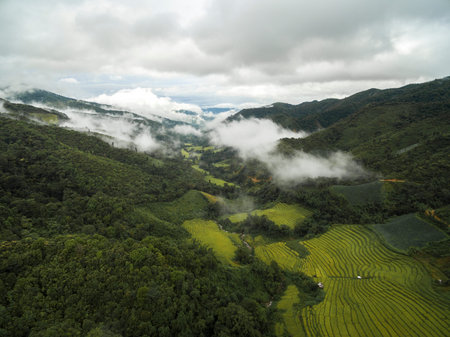 Valley in Chiang Mai, Thailand.