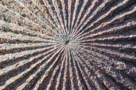 The texture of the stone. The decor on the stone. Geometry. Macro photo.の写真素材