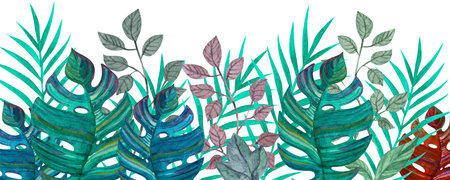 Tropical leaves. Watercolor drawing. Green color. Background.の写真素材