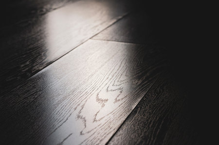 Laminate close-up. Under the tree. Floor in the apartment. Light is falling.の写真素材