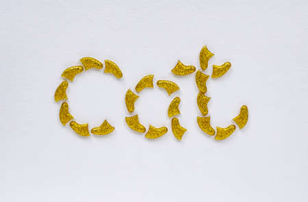 Soft Claws Nail Caps for Cats. Manicure for cats. Concept of protection from claws. From scratches.の写真素材