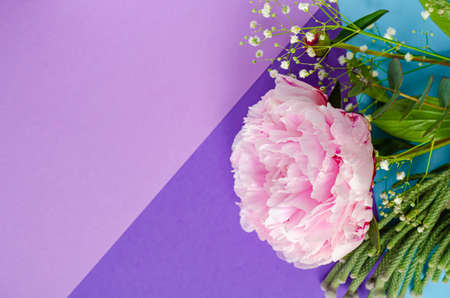 Composition with flowers. Peonies. Women's cards, congratulations. Beautiful delicate pink background. Top view. Flat lay. Copy space.の写真素材