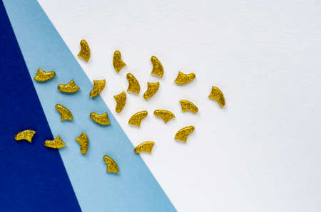 Soft Claws Nail Caps for Cats. Manicure for cats. Concept of protection from claws. From scratches.の写真素材