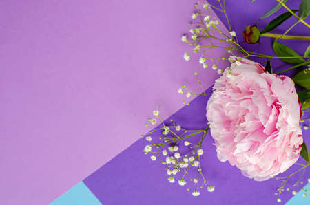Composition with flowers. Peonies. Women's cards, congratulations. Beautiful delicate pink background. Top view. Flat lay. Copy space.の写真素材