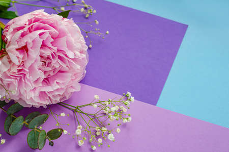 Composition with flowers. Peonies. Women's cards, congratulations. Beautiful delicate pink background. Top view. Flat lay. Copy space.の写真素材