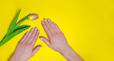 Female manicure on a bright background. Yellow