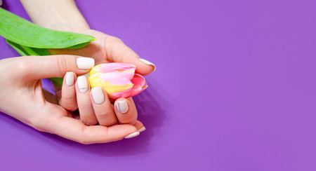 Female manicure on a bright background. Purpleの写真素材
