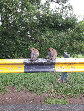 Lets sit side by side