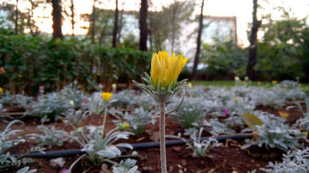 Natureの写真素材