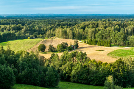 Countryside landscape of green forests with blue sky