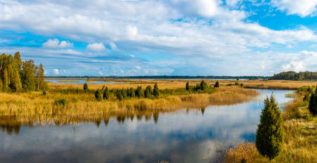 Autumn panorama of river with yellow reed under blue skyの写真素材