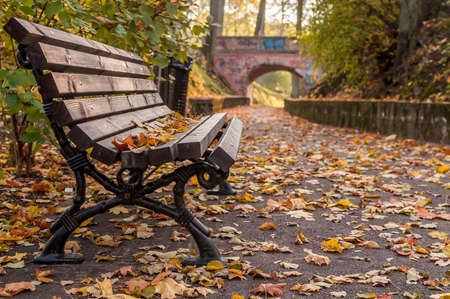 Autumn bench and path to the bridge full of yellow leafsの写真素材