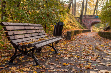 Autumn bench and path to the bridge full of yellow leafsの写真素材