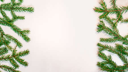 Green fir branches isolated on white background - New Year and Christmas themeの写真素材