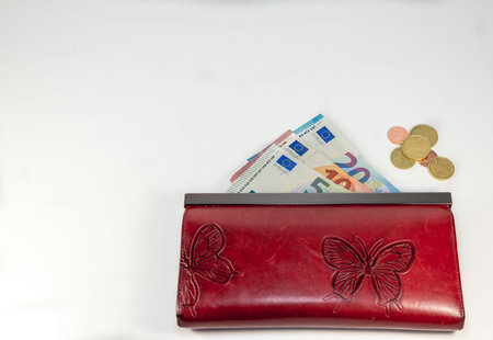 Abstract - red woman wallet with money for shopping - white background