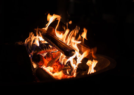 Burning wood - red and orange fire for warming hands on black background