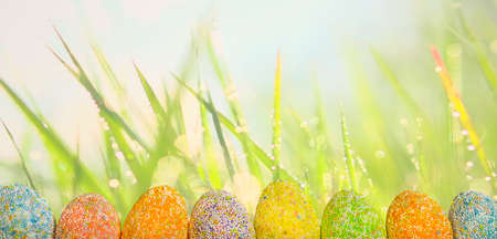 Row Easter eggs with spring green grass background - celebrationの写真素材