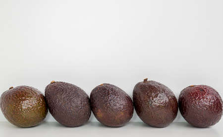 Brown avocado in row isolated white backgroundの写真素材