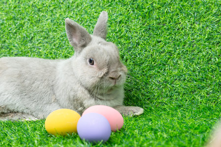 Adorable gray rabbit with colorful egg easter basket isolated on green grass field background. Cute...
