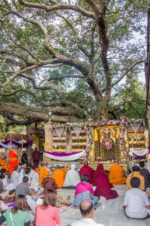 Buddhist monks lay men are sitting underneath the Bodhi tree, in the place, where Buddha became enlightenedのeditorial素材