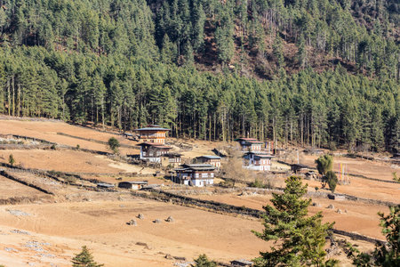 gangtey village is a beautiful village with a well known monastery in Bhutanの写真素材