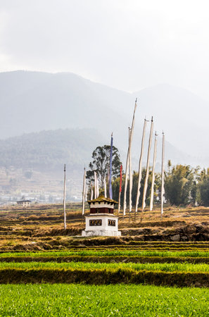 A stupa  chorten, choerten  and prayer flags behind green rice terraces, near Punakha, Bhutan  In the background are the mountains の写真素材