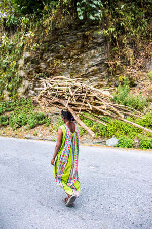 A poor bhutanese farmer, carrying fire wood, that she has gathered in the woods の写真素材