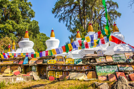A mani wall in Tashiding, Sikkim, India, with stones, engraved with buddhist prayers in tibetan...