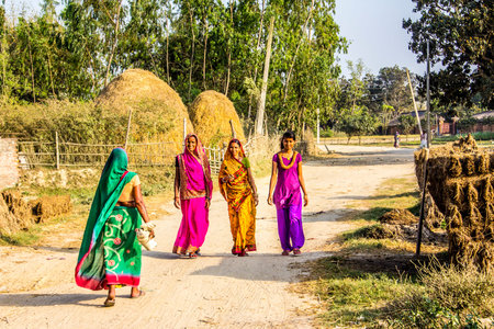 Beautiful women in colorful sarees are walking along a dirt road in the Terai, the most southern,...