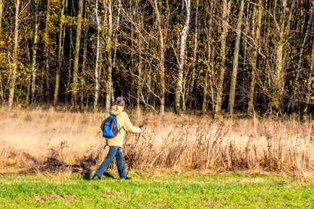 A wanderer, using walking sticks is walking along an autumn forest.のeditorial素材