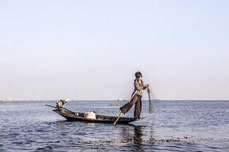 A legrowing fisherman at Inle lake is catching fish with a net . In the background are the floating gardens.のeditorial素材