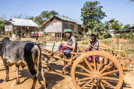 People from the PaO tribe are driving home from the market with their bullock cart.