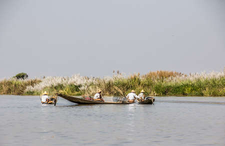 A legrowing fisherman at Inle lake is catching fish with a net .のeditorial素材