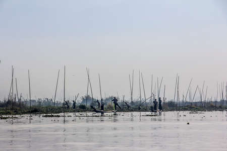 Men are working in the floating gardens at lake Inle, myanmar. In front are their boats.のeditorial素材