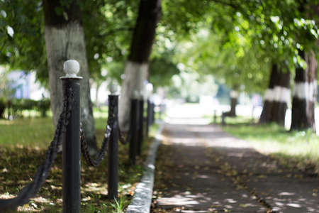 metal fence along street roadの写真素材