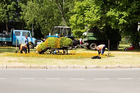 road workers are landscaping the lawnのeditorial素材