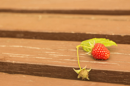 branch red berries raspberry lies on a wooden tableの写真素材