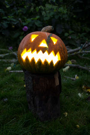 Halloween pumpkin laying on the grass, close-up6の写真素材
