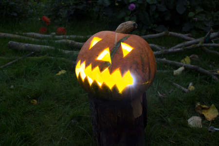 Halloween pumpkin laying on the grass, close-upの写真素材