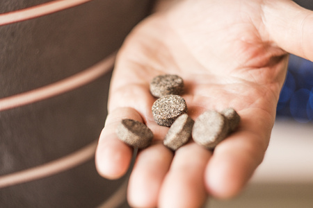 the bottle of pills in hand close upの写真素材