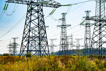 power line poles stand in the field