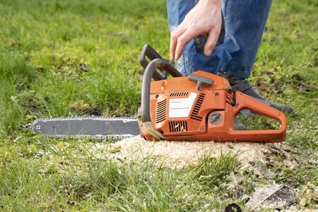 orange chainsaw lying on the grass1の写真素材